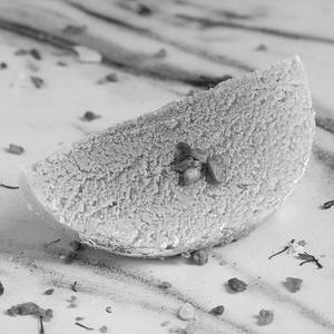 Chand Milk Cake