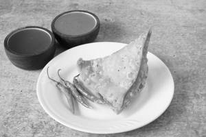 Teri Rajput Special Samosa