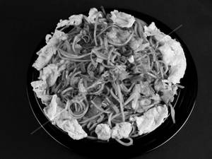Chicken Szechwan Noodles