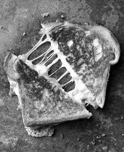 Cheese Grilled Sandwich