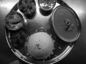 Catla Fish Meals