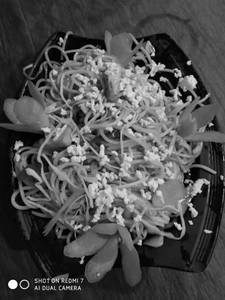 Veg Hakka Noodle