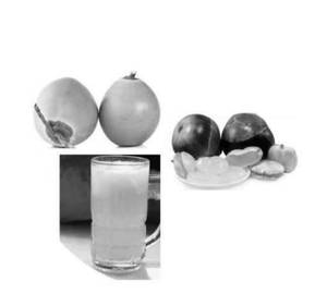 Tender Coconut Sarbath Within Nungu (750 Ml)