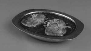 Veg Andakari