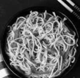 Veg Special Noodles