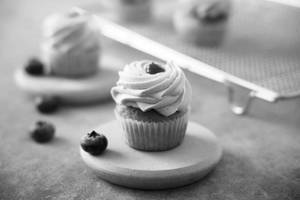 Blueberry Cupcake (big)