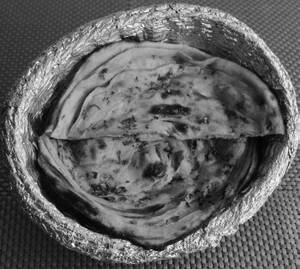 Lachha Paratha