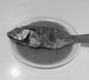 Telapia Shorshe