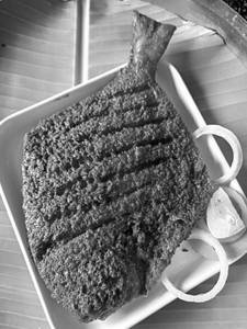Avoli Fry (white Pomfret)