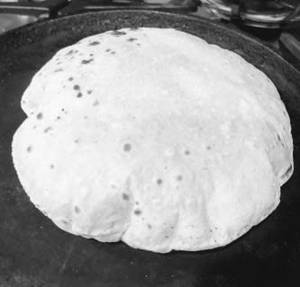 Tawa roti                                                            
