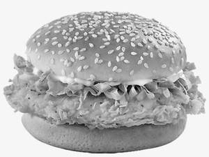 Crispy Chicken Burger