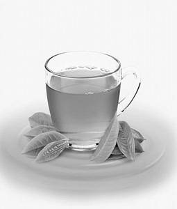 Pure Green Tea