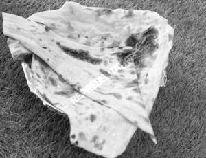 Naan