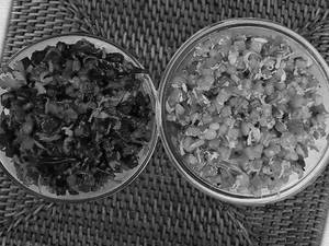 Veg Kootu+poriyal Combo (250 Ml)