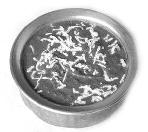 Palak Curry