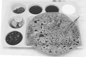 Gobhi Paratha