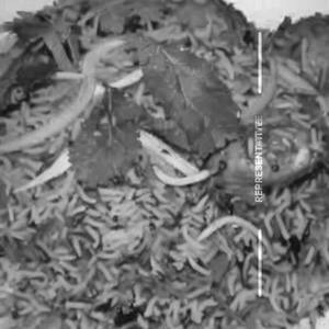 Kappa Biryani Chicken