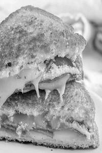 Cheese Pizza Sandwich