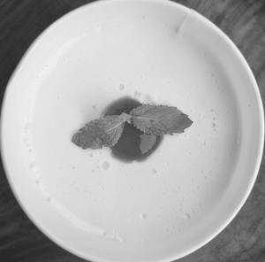Baked  Yogurt