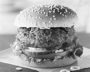 Chicken Burger         
