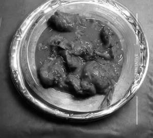 Schezwan Chicken Gravy
