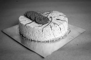 Oreo Cheesecake