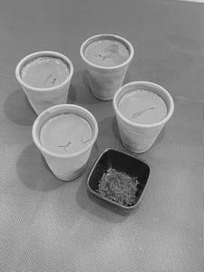 Kesar Chai (4 Cups)
