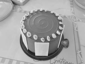 Chocolate Hazelnut Praline Cake