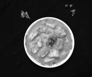 Paneer Korma