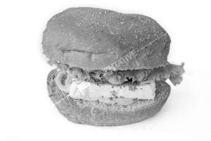 Veggie Paneer Burger