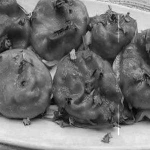 Cheese tandoori momos