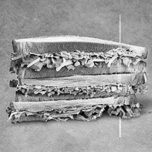 Sukoon Special Sandwich 