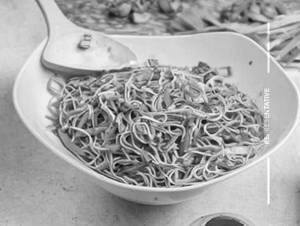 Veg Burnt Garlic Hakka Noodles