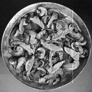 Mushroom Peeper Dry