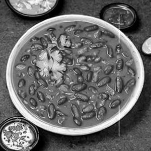 Rajma Rice