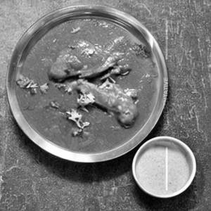 Tari Chicken Home Style