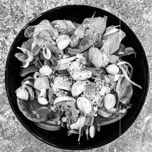 Green Salad