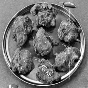 Chicken Afghani