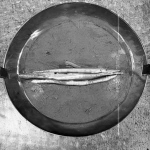 Fish Sarsowala