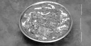 Hyderabadi Paneer