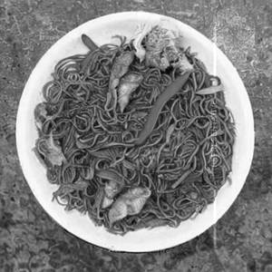 Japanese Noodles  Chicken H