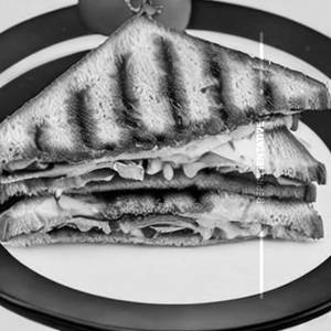 Cheese Grilled Sandwich  