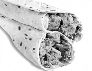 Chicken Kabab Wrap