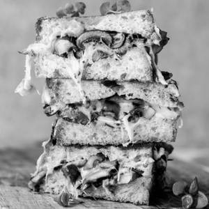 Mushroom Masala Sandwich