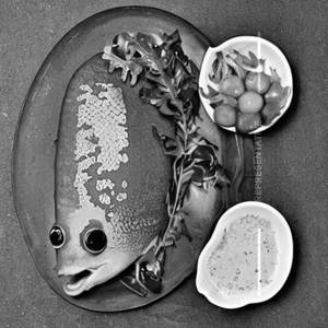 Fish Apollo