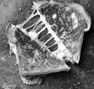 Cheese Grilled Sandwich [2 Pieces]