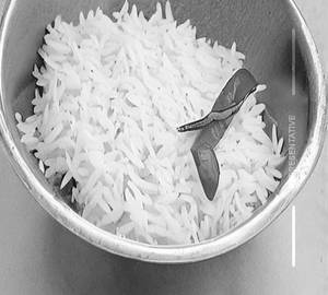 Basmati Rice