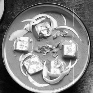 Paneer Butter Masala