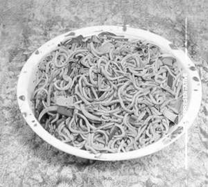 Mixed Noodles
