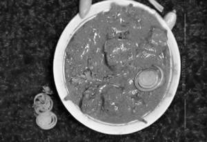 Aaye Din Bahaar Ke (Gravy Chaap)